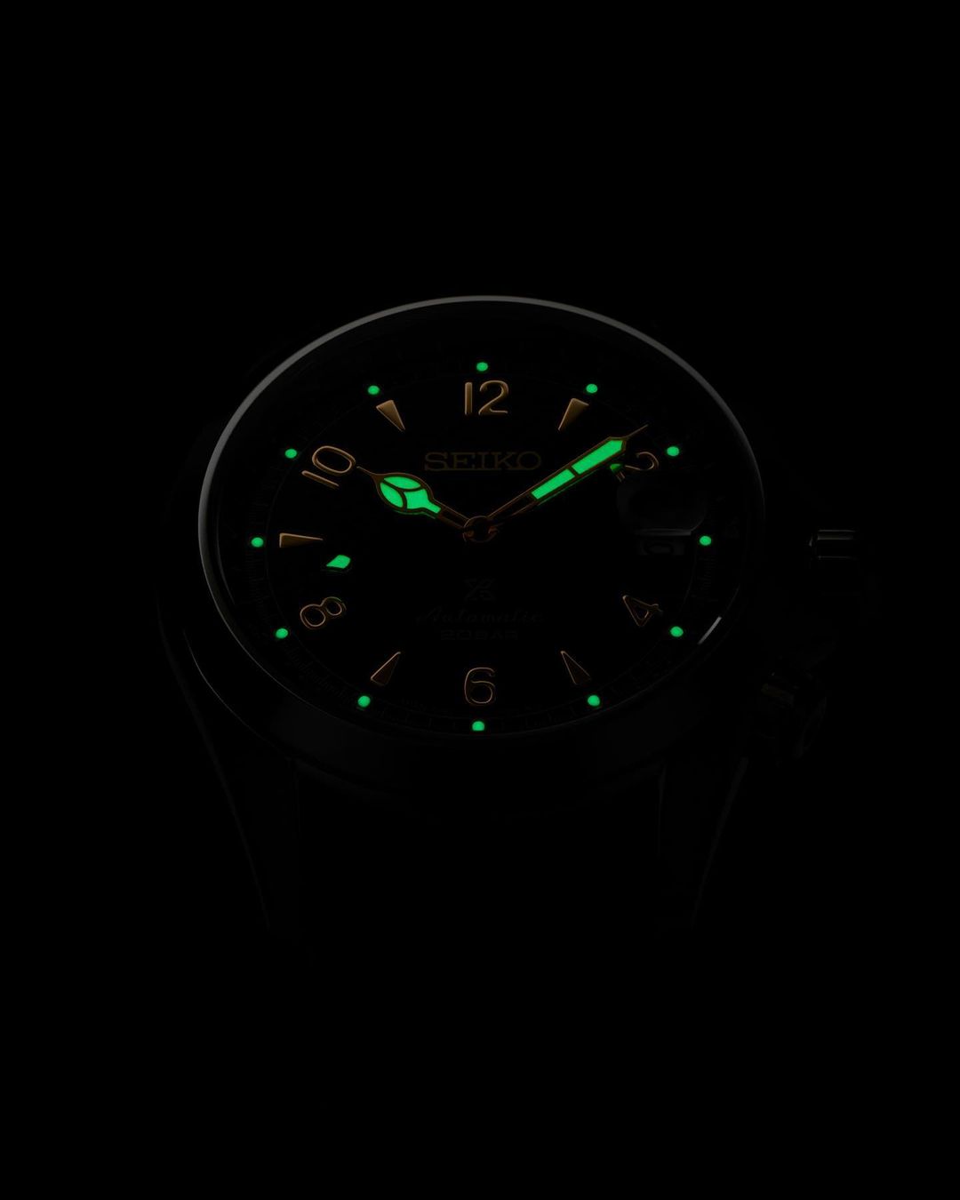 Seiko Alpinist Limited Edition 1000pcs Spb341j1